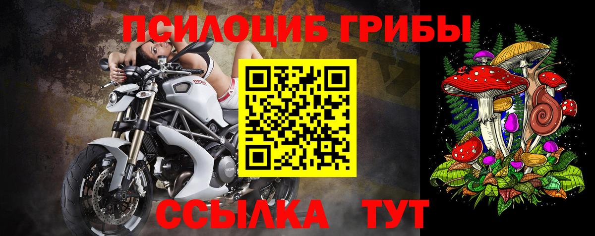 Псилоцибиновые грибы ЛСД Россия