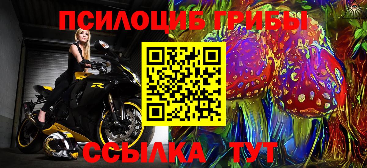 Россия  Галлюциногенные грибы Psilocybine cubensis  Вход с VPN 