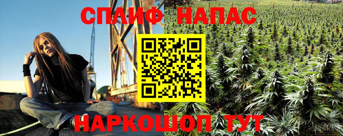 Бошки марихуана OG Kush Россия